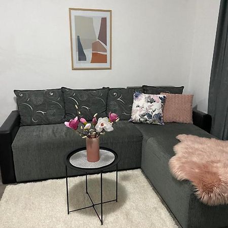 Apartman Aleksic Ягодина Екстериор снимка