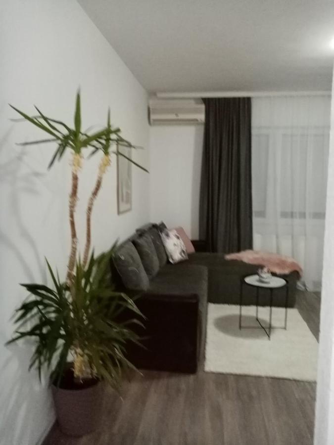 Apartman Aleksic Ягодина Екстериор снимка