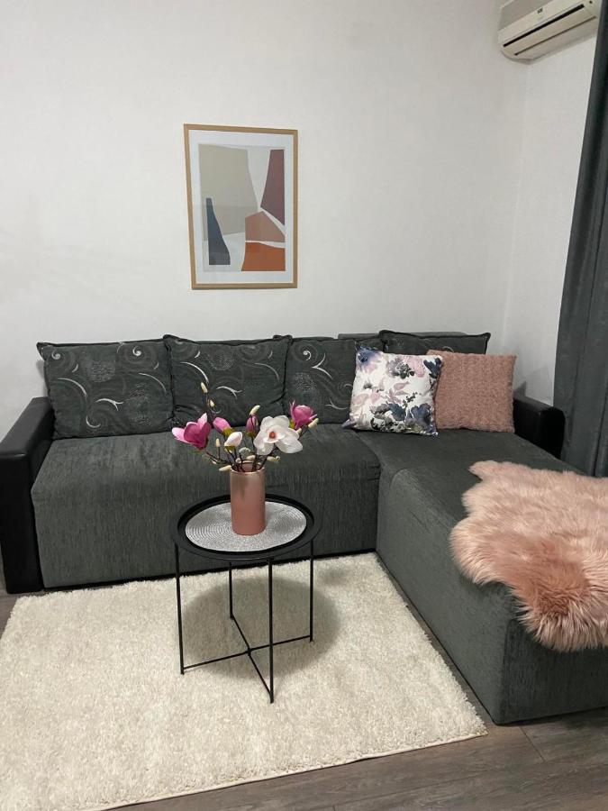 Apartman Aleksic Ягодина Екстериор снимка