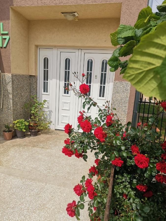 Apartman Aleksic Ягодина Екстериор снимка