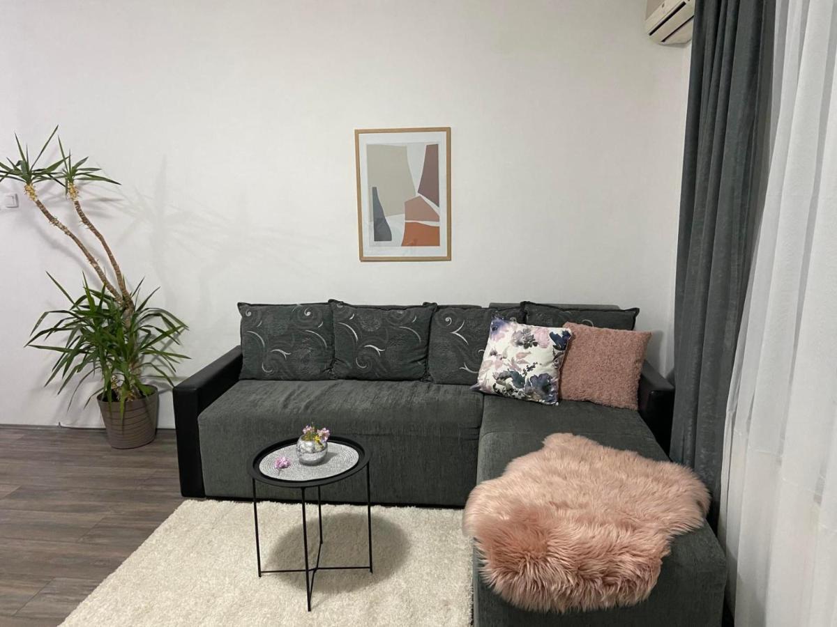 Apartman Aleksic Ягодина Екстериор снимка